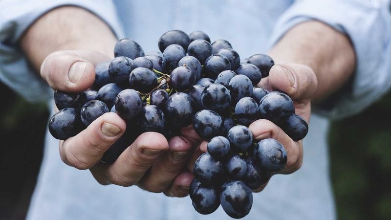 一级做a爰片毛片：探索影视创作中的艺术表达与行业规范