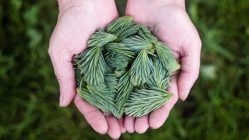 亚洲综合色在线多元内容满足娱乐需求，个性化推荐引领潮流风尚